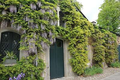 Farmleigh House Dublin
