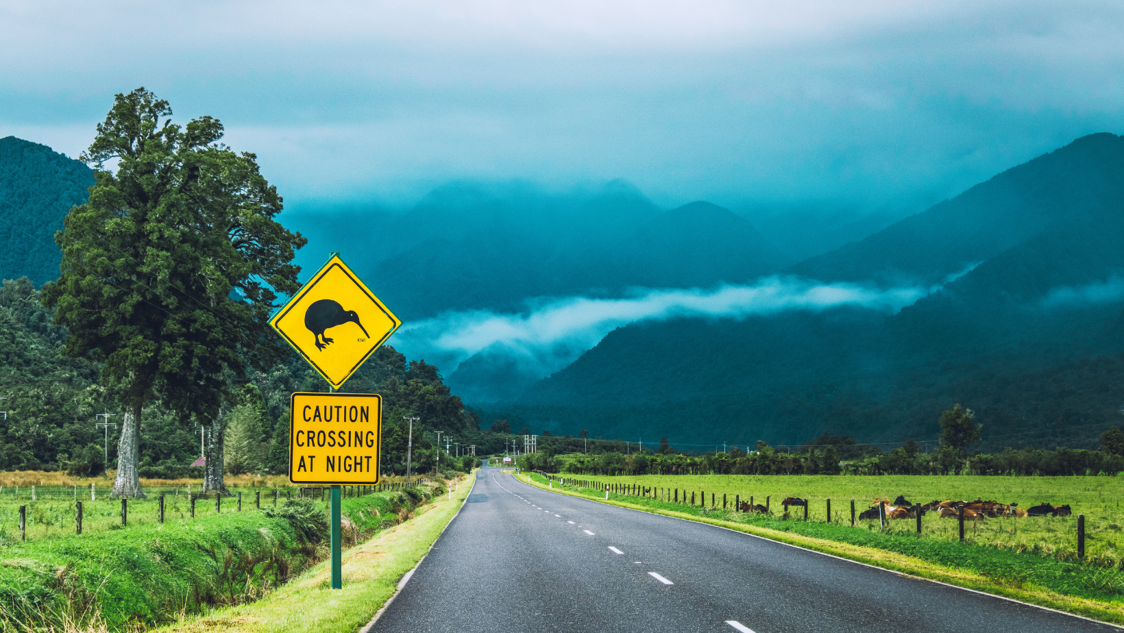 Auto fahren in Neuseeland
